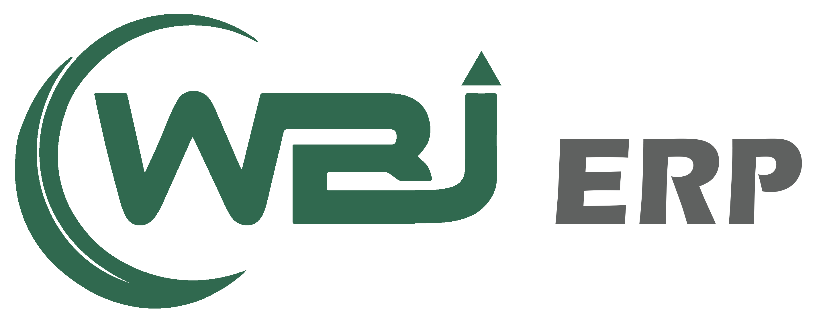 WBJ ERP